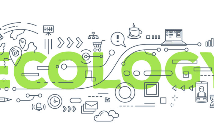 Eco-conception Web: 6 astuces pour un site WordPress plus écologique