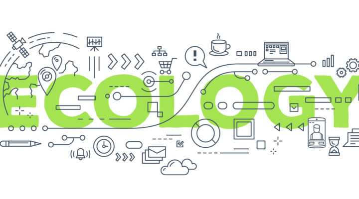 Eco-conception Web: 6 astuces pour un site WordPress plus écologique